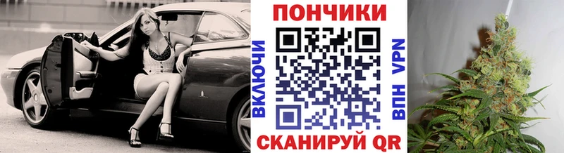 Купить закладки  Кузнецк  МАРИХУАНА семена 